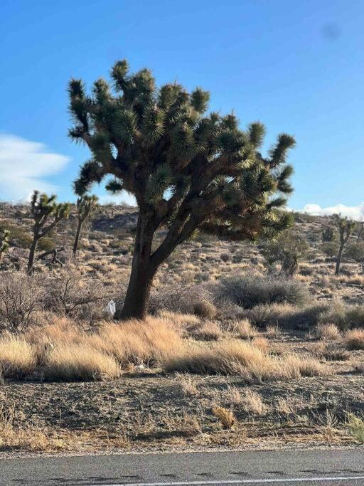 Apartmán Joshua Tree National Park - Cozy Palms Getaway Twentynine Palms Exteriér fotografie